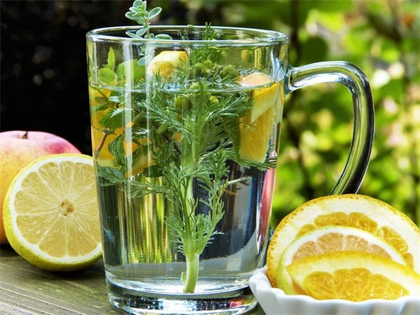5-Day Fasting Mimicking Diet: Reverse Aging & Boost Health in Just 5 Days Monthly